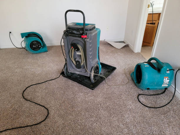 Local water damage restoration in UT