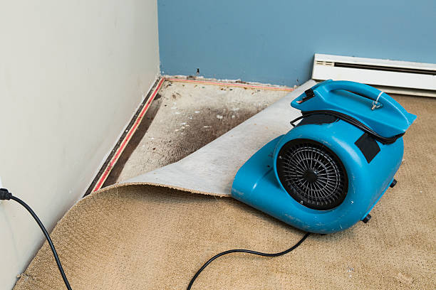 Best Ceiling water damage repair  in Marriott Slaterville, UT